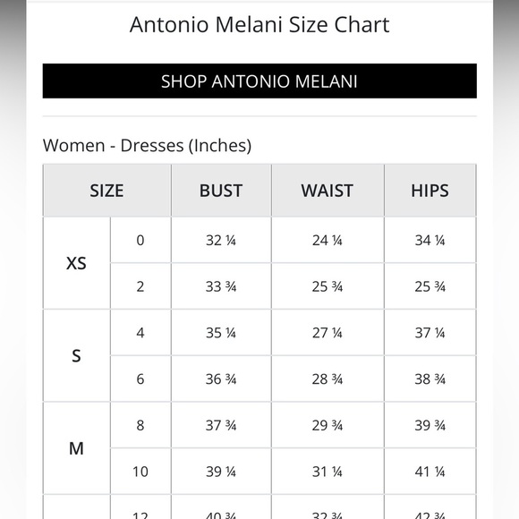 Antonio Melani Embroidered Carys Sheath Dress in Papyrus Beige Size 0 - Picture 10 of 11